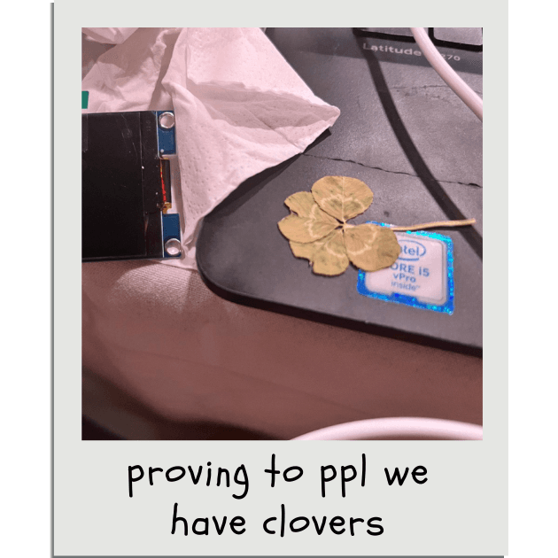An example of a pressed clover, temporarily removed from it's normal home in a cell-phone case to show friends. Many people don't belive in 4 leaf clovers until they see them!