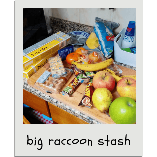 Here is the food that was 'raccooned' from the ETH Porto 2023 hackathon - you can see we brought home a selection of free coffee pods, fruits, and snacks