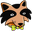 Raccoon